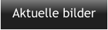 Aktuelle bilder