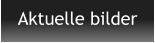 Aktuelle bilder